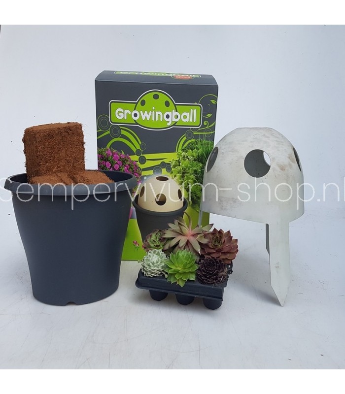 Growing Ball ®