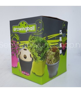 Growing Ball ®